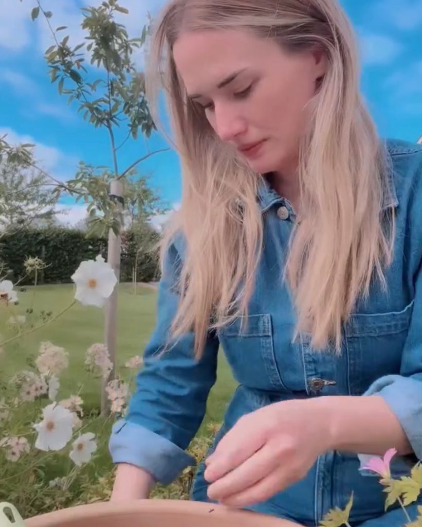 Gardening